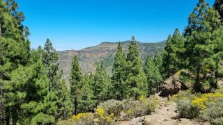 2023-04-GranCan-Roque_Nublo-056.jpg